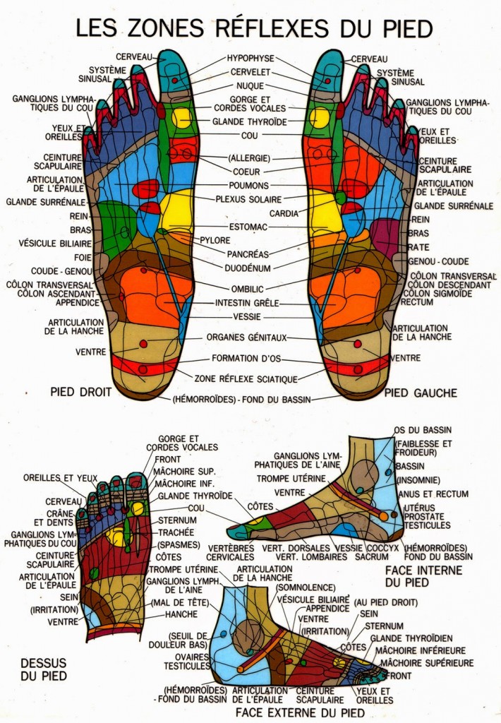 Qu’estce que la réflexologie plantaire? Massages bienêtre CALLIANDRE